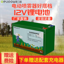 德力普（Delipow）锂电池 12v大容量电动喷雾机农用锂电瓶蓄电池 适用喷农药/照明灯/门禁童车 【喷雾器锂电池12V278WH】