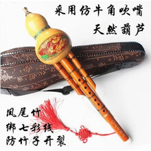 杉贝 SHANBEI 云南天然葫芦丝乐器降B调c调胡芦丝双音儿童学生成人初学者零基础抖音同款 葫芦丝降B调+皮盒