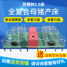 耐尔尼母猪产床复合产保一体猪用定位栏双体分娩床仔猪保育床双床养猪设备畜牧器械 全复合2.5高配（3.8*2.2米)【加厚保温箱】