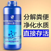 疯狂石头 硝化细菌 养鱼 水族用品 海水鱼缸净水剂 水族药剂消化菌 活性菌 水质稳定剂安定剂除氯气 硝化细菌260ml【分解粪便、净化水质】