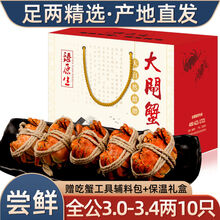 【10只装】大闸蟹全公母六月黄螃蟹镇海鲜水产生鲜 全公蟹：3.0-3.4两(10只)