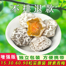 酵素梅正品嗖嗖啦网红果青梅孝素梅子随便果孝素粉 搭配代餐粉饼话梅酵素果冻果蔬复合酵素粉杯装果冻 酵素梅【60粒】