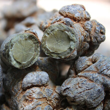 康中尊 三七文山三七纯37无剪口春田七20头30头春三七可代磨三七粉 25头13个无剪口【250克】