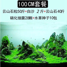 蓝宝 鱼缸造景套餐水草泥草种子假山石头造景石底砂鱼缸装饰水族箱水草 100cm套餐