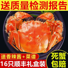 【活蟹】蟹品煌大闸蟹现货 超大 鲜活特大螃蟹 六月黄螃蟹全公母蟹 生鲜活蟹水产 礼盒装 大闸蟹3.7-4.0两 8只装
