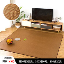 已庚 沙发凉席垫夏季客厅日式藤席地毯卧室折叠防滑加厚爬爬垫子 LXKT-1 120X200CM
