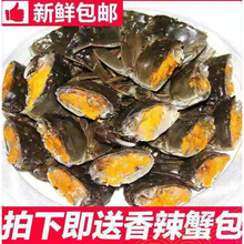 活鲜【冷链运输】江苏大闸蟹鲜活现货活体六月黄螃蟹特大公母蟹礼盒装罗莫利得 1.9-2.2两5公5母
