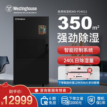 西屋（Westinghouse）除湿机去湿机工业抽湿机商用除湿器大功率干燥机以上别墅商场大功率吸湿器 WD-P24012 10KG/H(380V)