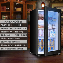 90L冰吧茶叶柜冷藏柜保鲜柜恒温酒红酒家用客厅单开门小冰箱迷你海牌 时尚冰吧--90L【带锁】