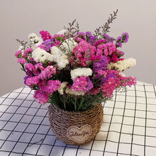 天然风勿忘我满天星干花花束装饰摆件真花家庭插花小清新客厅摆件礼物 30支浅紫玫红粉白+情人草 不含圆肚花篮