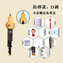 葫芦丝乐器初学c调降b调dgf演奏型小学生儿童天然紫竹 防摔D调+