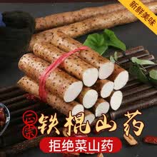 铁棍山药正宗怀山小白嘴铁棍山药新鲜山药批发新鲜蔬菜 5斤40-50厘米铁棍山药