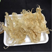 伟博缅甸大片鱼胶黄花胶开片滋补孕妇干货冻奶厚肉海味 大号开片鱼胶500克