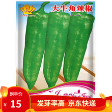 凤鸣雅世蔬菜种子空心菜光杆茼蒿种子 四季小葱油麦菜特大牛角椒小白菜盆栽种子 10袋批发价大牛角椒种子每袋30粒