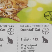 德国拜耳猫驱虫药成幼猫通用驱虫药猫咪打虫药 体内驱虫药 拜宠清 猫咪驱虫4粒 默认