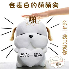 520情人节生日道歉礼物送女友朋友老婆哄女友神器实用异地恋 彩袋-呆萌狗白色35cm深情声音(宠你)拍打表白