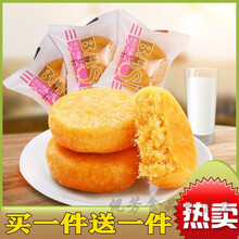 酥皮肉松饼夹心面包整箱营养早餐绿豆饼传统手工糕点甜点儿童零食 肉松饼500g【送】干吃汤圆500g