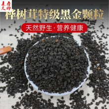 康中尊 桦树茸黑金颗粒长白山野生桦树茸一斤装桦褐孔菌白桦茸天然胰岛素