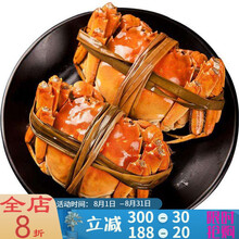 【活鲜】大闸蟹鲜活现货活体螃蟹六月黄海鲜水产全公母3两清水蟹河蟹毛蟹 塔布莫特 【2.0-1.5两 12只】只只有黄
