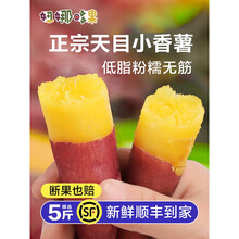 正宗天目山小香薯手指薯5斤新鲜临安板栗红薯10富硒地瓜山芋番薯 3斤 小果