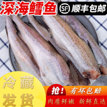【顺丰速递】深海鳕鱼去头去内脏鳕鱼块明太鱼海水鱼鳕鱼狭鳕鱼无冰衣 十字丽日 1斤装(净重无冰衣)
