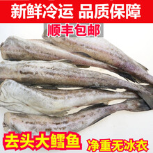 顺丰速运 鳕鱼新鲜海鲜水产鲜活冷冻无头鱼银狭鳕鱼明太鱼新鲜 锦蜜姬 【十斤】冷藏装