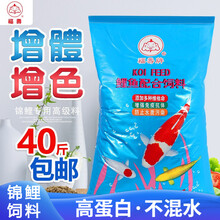 福寿鱼饲料锦鲤饲料鱼食不浑水高蛋白増体增色鱼食观赏鱼鱼粮养殖专用 福寿主食4号（40斤大包装）5mm颗粒