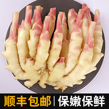 生姜新鲜姜芽5斤现挖红芽小黄姜老姜糖醋姜 2500g