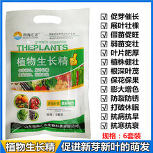 植物生长肥料叶面肥植物生长精促芽催长僵苗促旺保花保果膨大增色 5袋6套装植物生长精（送一袋）