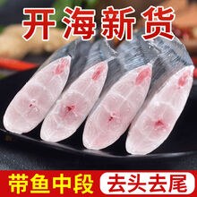 舟山带鱼段中段新鲜带鱼带鱼特大带鱼刀鱼段海鲜批发带鱼批发  普米加罗 6斤中大号