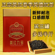 英九红茶 200克 多规格 叶红茶 英德红茶英红九号粤北特产 一级老树鲜叶 浓香型新红茶 【春茶半斤罐装】拍3多+半斤