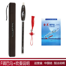 竖吹巴乌C调  降B调 G调 F调巴乌树脂巴乌竖吹降b调G调F调小学生儿童初学演奏金灵乐器 F调巴乌+塑盒+吹奏说明40页