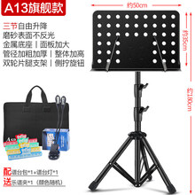 乐谱架可升降型曲谱架大乐谱架古筝二胡古筝琴谱架吉他小提琴谱台 A13旗舰款黑+谱架夹+包+谱架灯