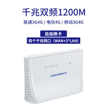 路游器 4g无线路由器插卡通cpe监控上网无线宽带sim转有线千兆便携式车载随身移动wifi 通5G双频升级版 合家享-冲浪月包