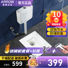 箭牌（ARROW）蹲便器水箱套装 厕所卫生间蹲坑蹲厕蹲便池带存水弯防臭大便器 ALD515+双键水箱（带存水弯后进前排）
