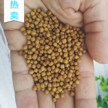 鱼饲料 鱼食浮水颗粒鱼食 热带淡水通用鱼粮 通威153(2-3毫米)漂浮鱼料5斤