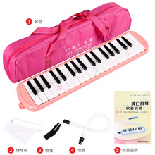 吹管乐器DHS口风琴37键32小学生用男女儿童幼儿初学者吹管口吹琴乐器 dhs粉色37键口风琴+吹管吹嘴+擦琴布+教材