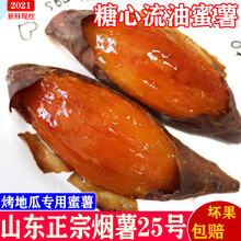 山东蜜薯烟薯25号糖心红薯现货新鲜红心沙地番薯烤地瓜超甜香山芋 5斤 中果