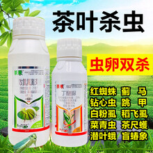 茶树茶叶杀虫剂丁醚脲农药店氯氰氟菊酯高效大全茶小绿叶蝉白飞虱 800g
