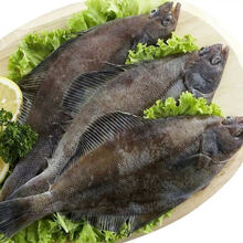 鲽鱼新鲜整条带头去内脏鸦片鱼速冻生鲜 桃西村 每条400-600g【去内脏净重】 一条