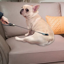 天弗打狗棒棍训导鞭子教导调教鞭训犬棒狗狗宠物用品训练鞭皮质皮鞭训狗棍