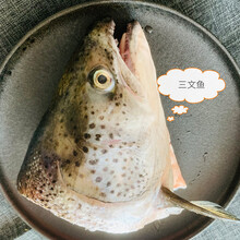 三文鱼头三文鱼头煲汤烧烤新鲜水产边角料冷冻碳烤食材速冻真空装3只