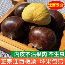 京觅河北迁西生新鲜板栗5斤大粒(一元硬币大小)生栗子源头直发 包邮