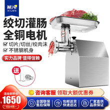 希冷(XILEN)绞肉机商用电动 切肉机商用灌肠机全自动切片机切丝 22型精铸钢单绞肉机