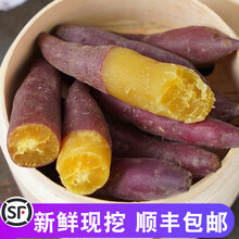 爵妃 3/5斤临安天目山小香薯新鲜红薯正宗板栗沙地番薯 3斤 中果