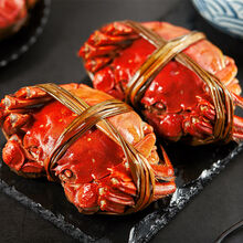 大闸蟹 鲜活特大公母蟹螃蟹六月黄现货礼盒装海鲜水产 罗菲迪新 【家庭12只装】2.5-3.0两