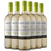 国际	智利中央山谷原瓶进口干露缘峰（远山）葡萄酒整箱装超市红酒 长相思苏维翁白葡萄酒 750ml*6 年份2020