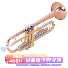 星海高端小号乐器XT-200型 专业演奏款小号 降b调小号乐器 磷铜/黄铜/白铜管乐团队成人学生通用 原装款【配件齐全】