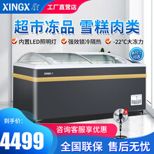 星星（XINGX）超市卧式展示柜商用大容量冰柜 组合透明弧面岛柜单温保鲜冷藏冷冻柜 急冻水饺雪糕冰箱 600升左右推门（长1650宽757高858mm）