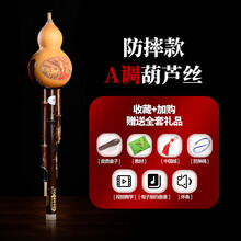 杉贝 SHANBEI 葫芦丝乐器初学者学生入门自学抖音同款 防摔型 A调葫芦丝